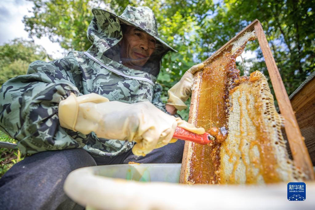 中国赌城网站